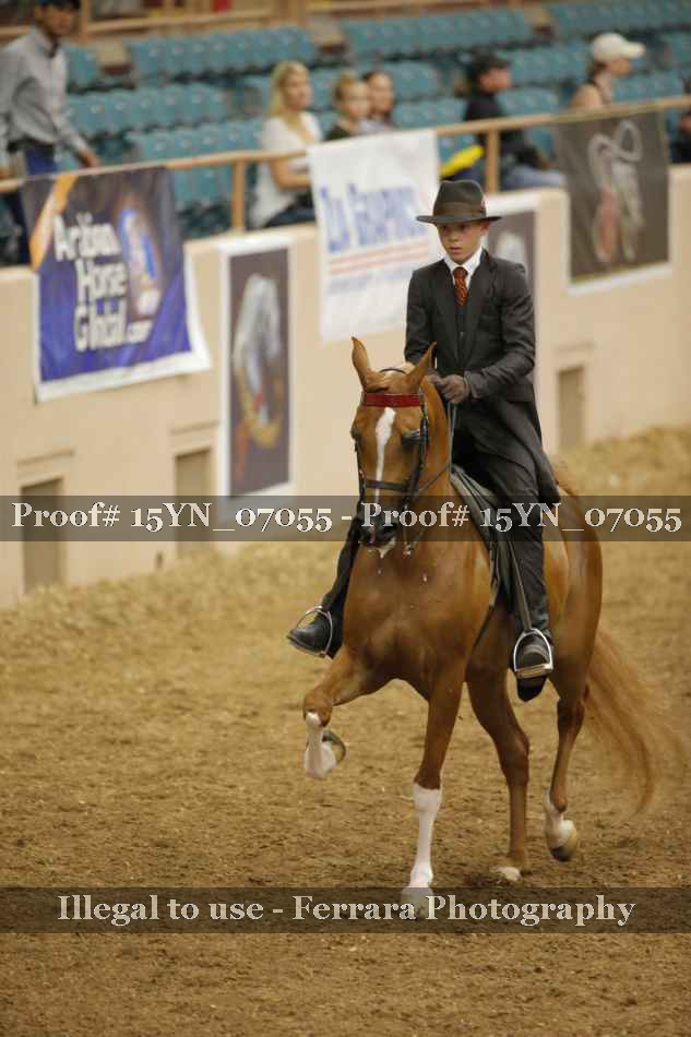 Proof Number 15YN_07055