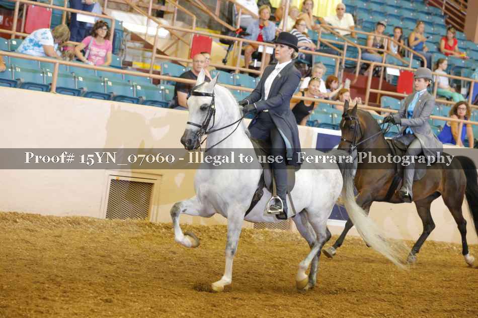 Proof Number 15YN_07060
