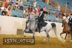 15YN_07123 thumbnail