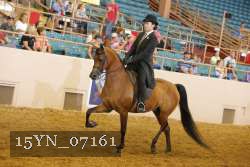 15YN_07161 thumbnail