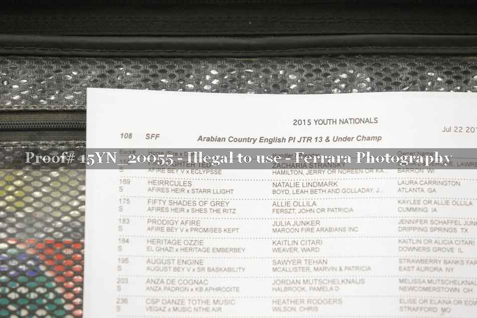 Proof Number 15YN_20055