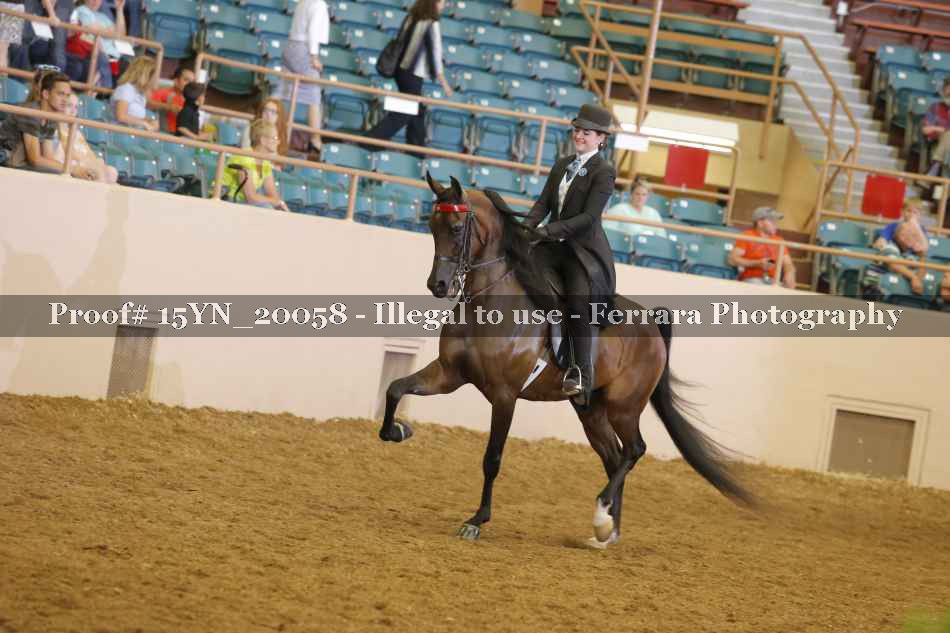 Proof Number 15YN_20058