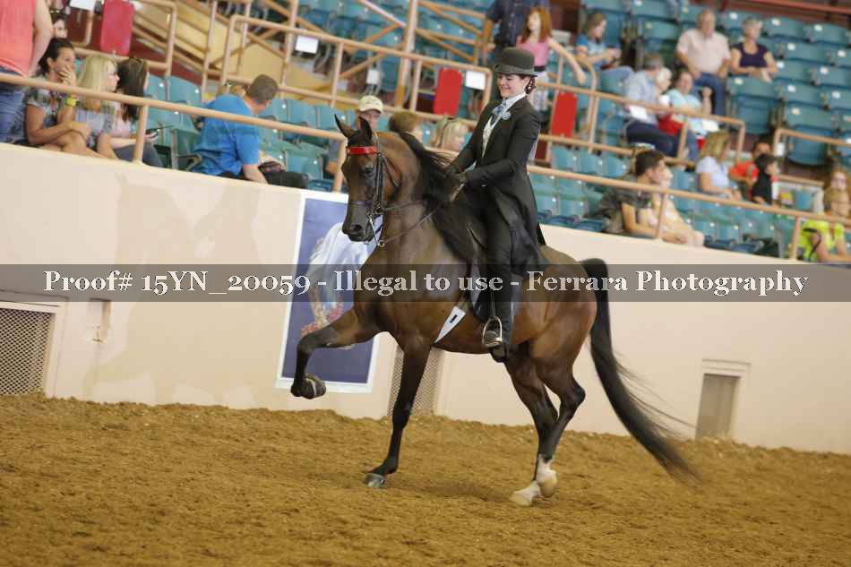 Proof Number 15YN_20059