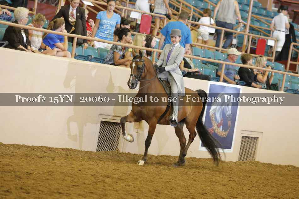 Proof Number 15YN_20060