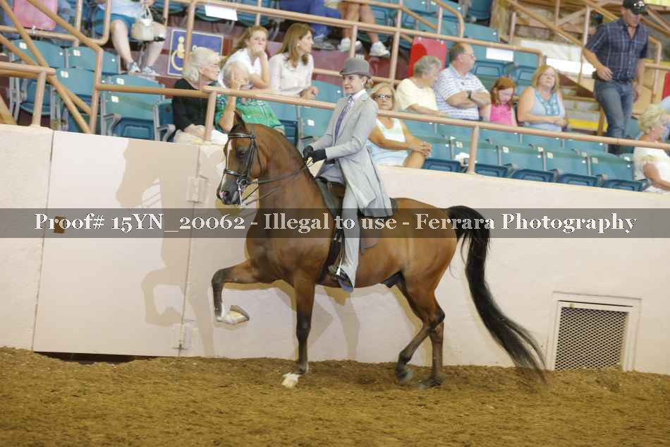 Proof Number 15YN_20062