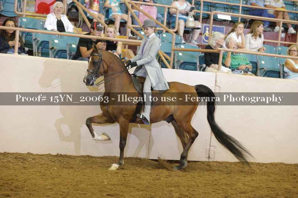 Proof Number 15YN_20063