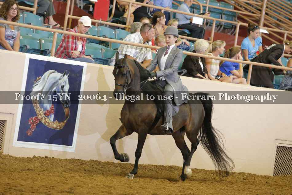 Proof Number 15YN_20064