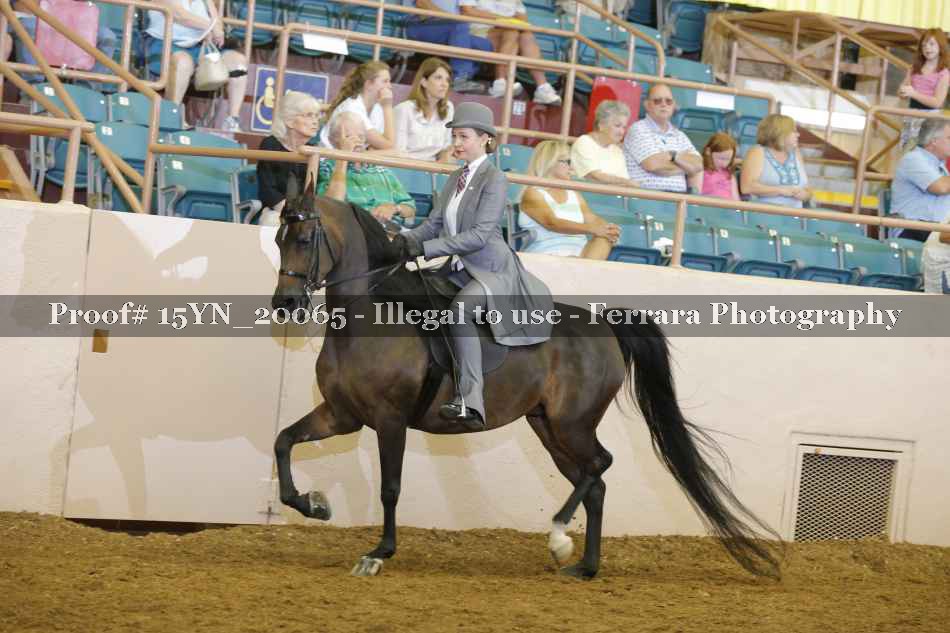 Proof Number 15YN_20065