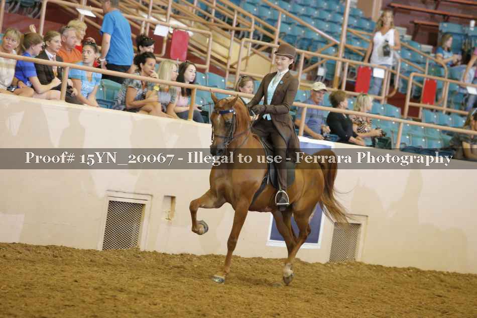 Proof Number 15YN_20067