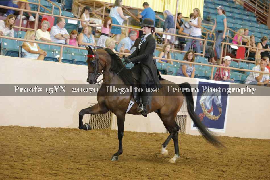 Proof Number 15YN_20070