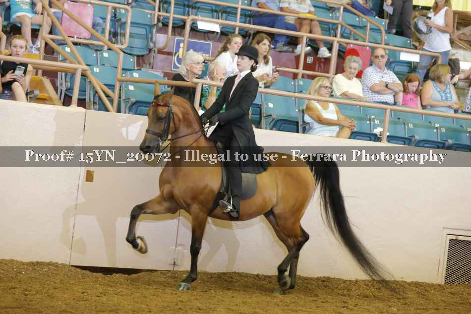 Proof Number 15YN_20072