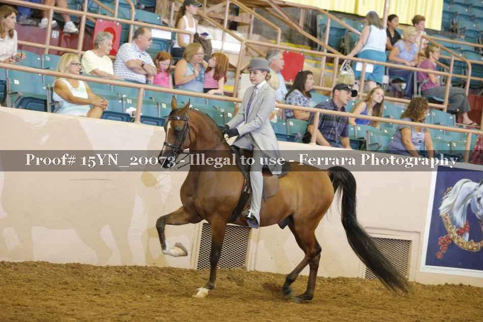 Proof Number 15YN_20073