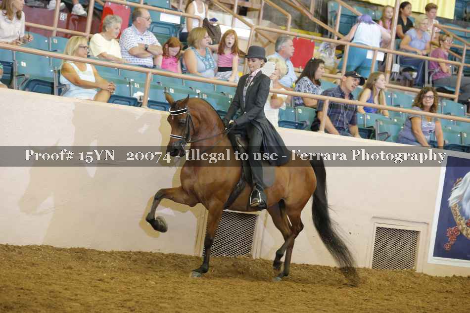 Proof Number 15YN_20074