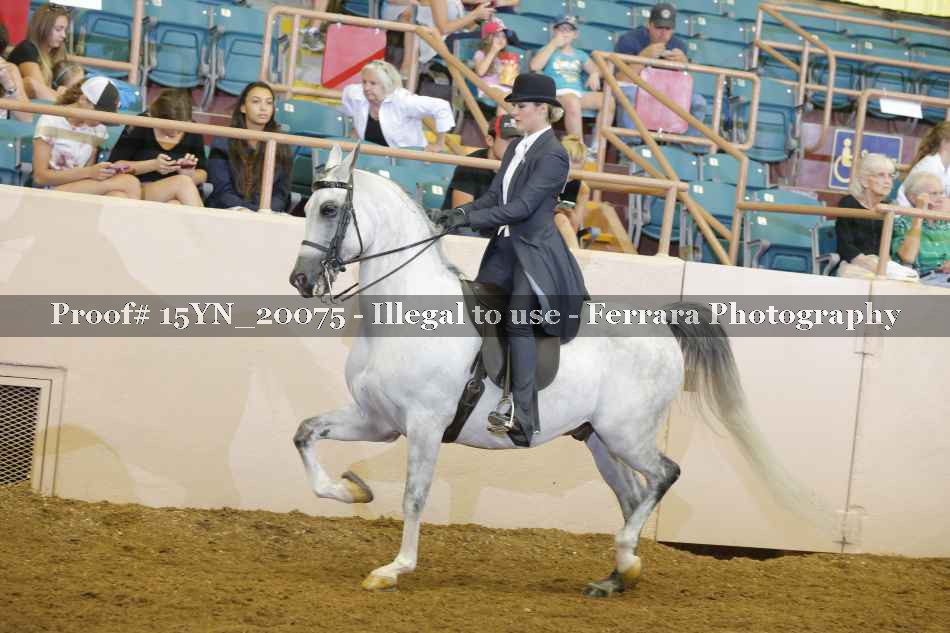 Proof Number 15YN_20075