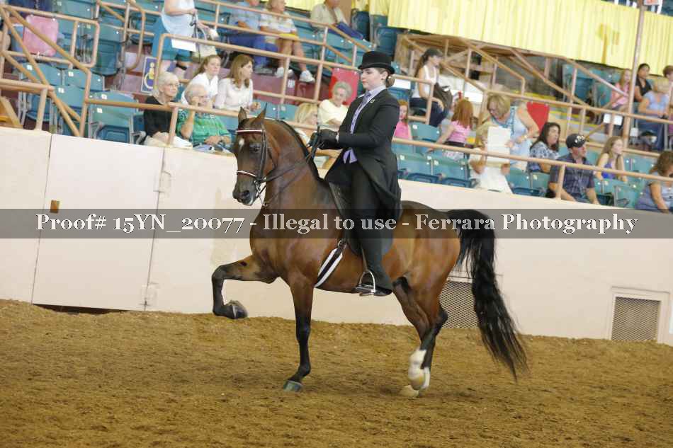 Proof Number 15YN_20077