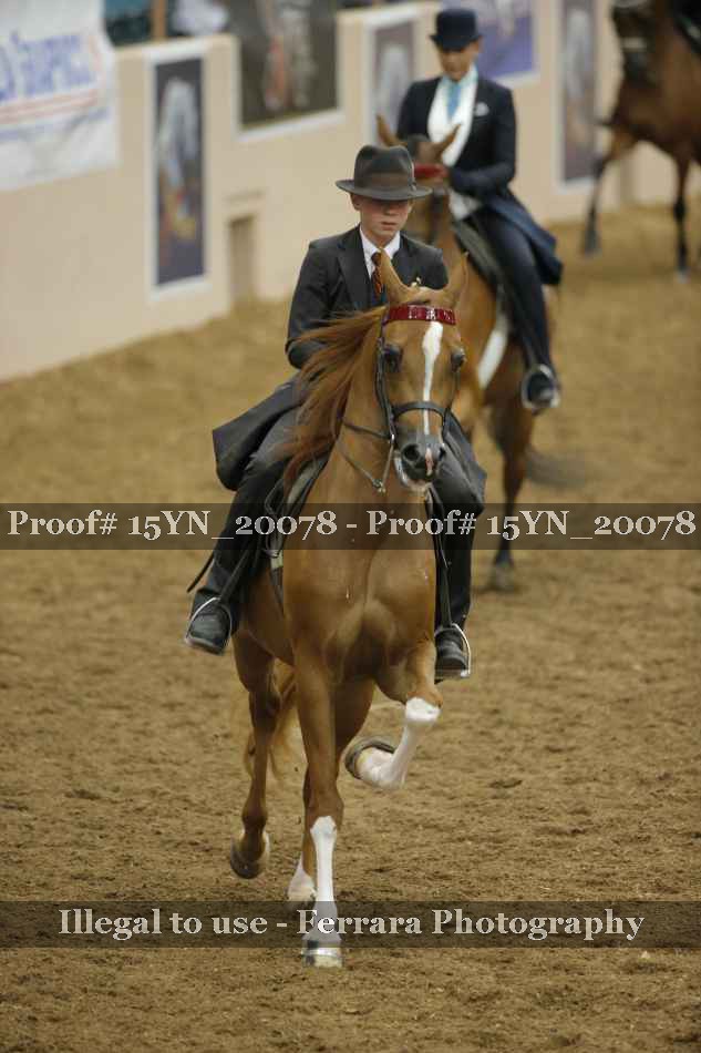 Proof Number 15YN_20078
