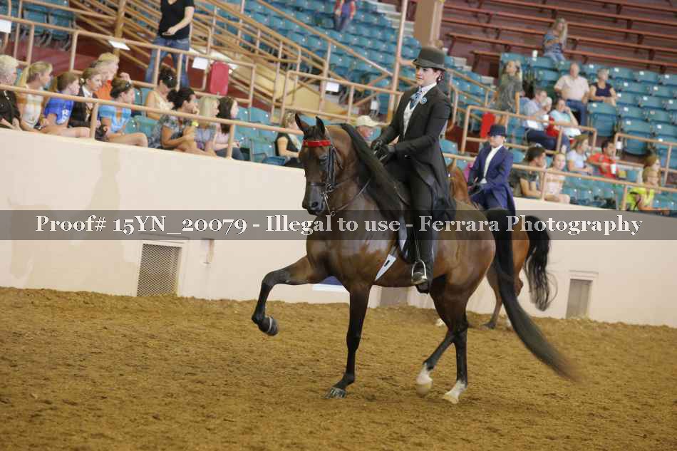 Proof Number 15YN_20079
