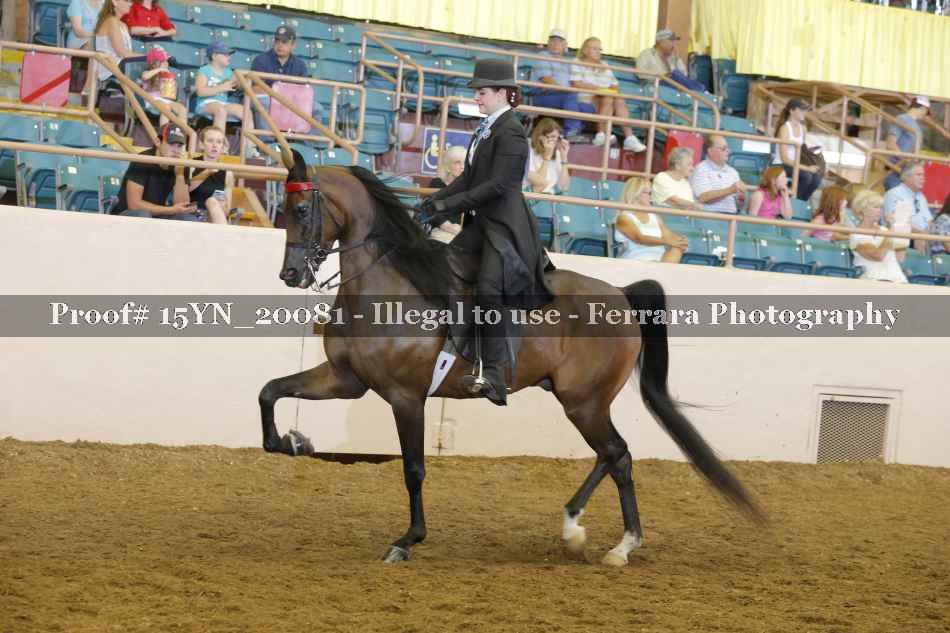 Proof Number 15YN_20081
