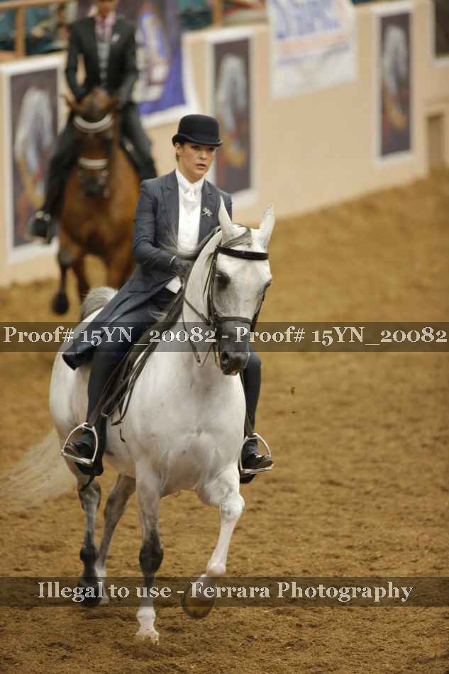 Proof Number 15YN_20082