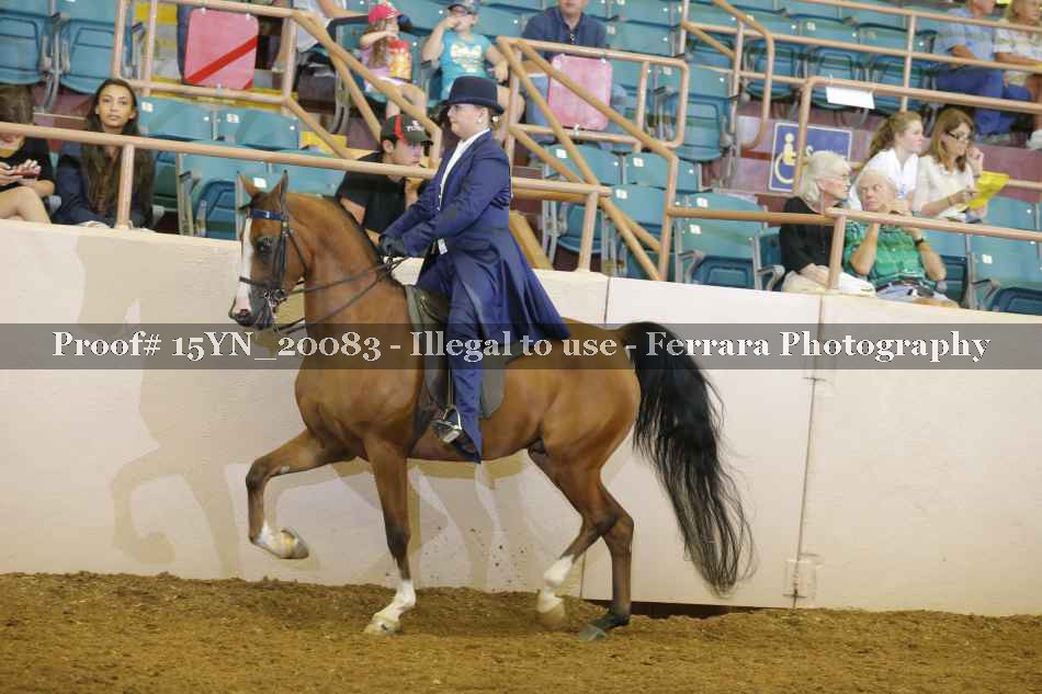 Proof Number 15YN_20083