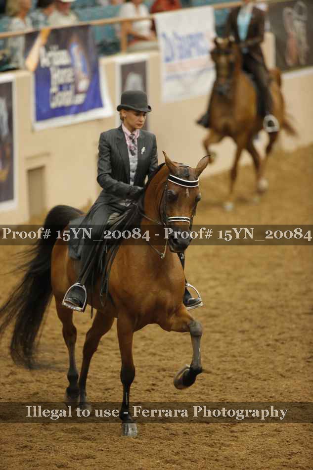Proof Number 15YN_20084