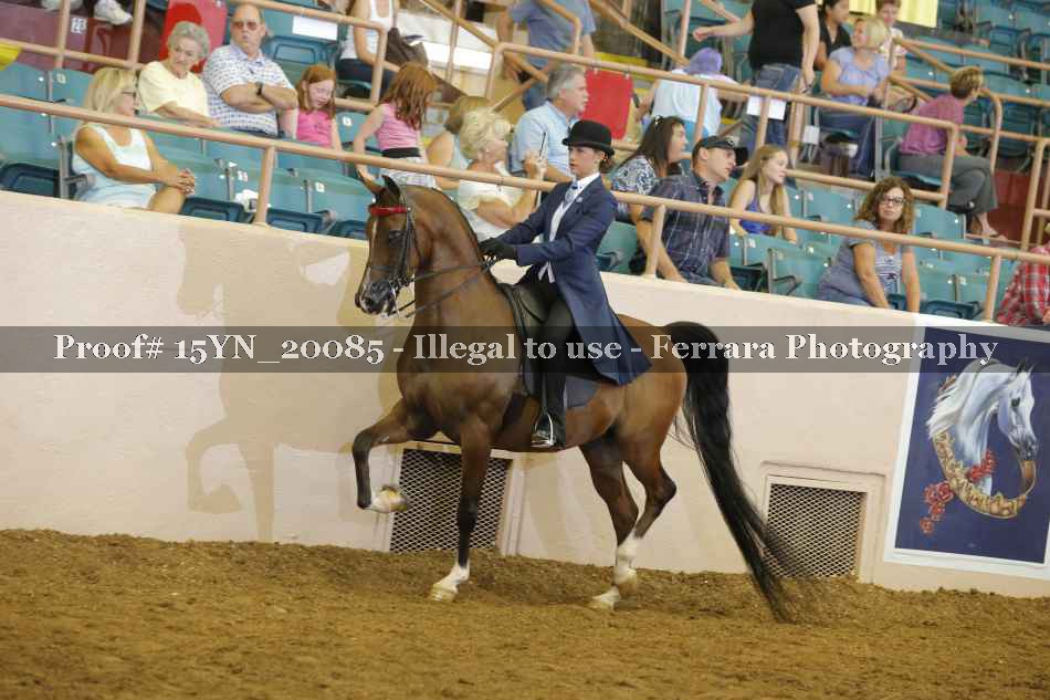 Proof Number 15YN_20085