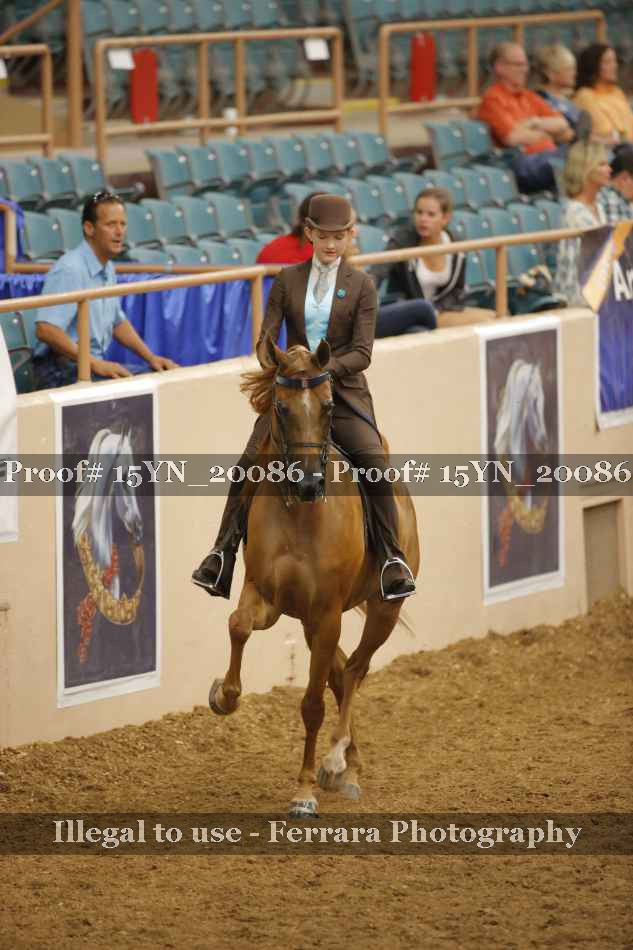 Proof Number 15YN_20086