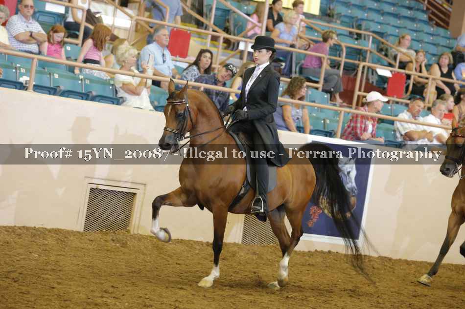 Proof Number 15YN_20087