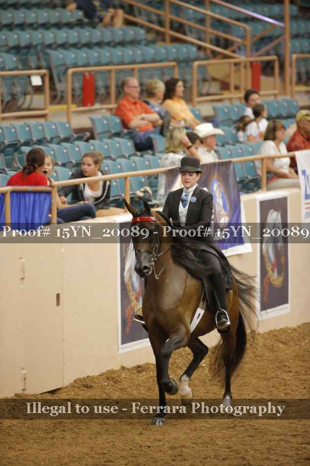 Proof Number 15YN_20089