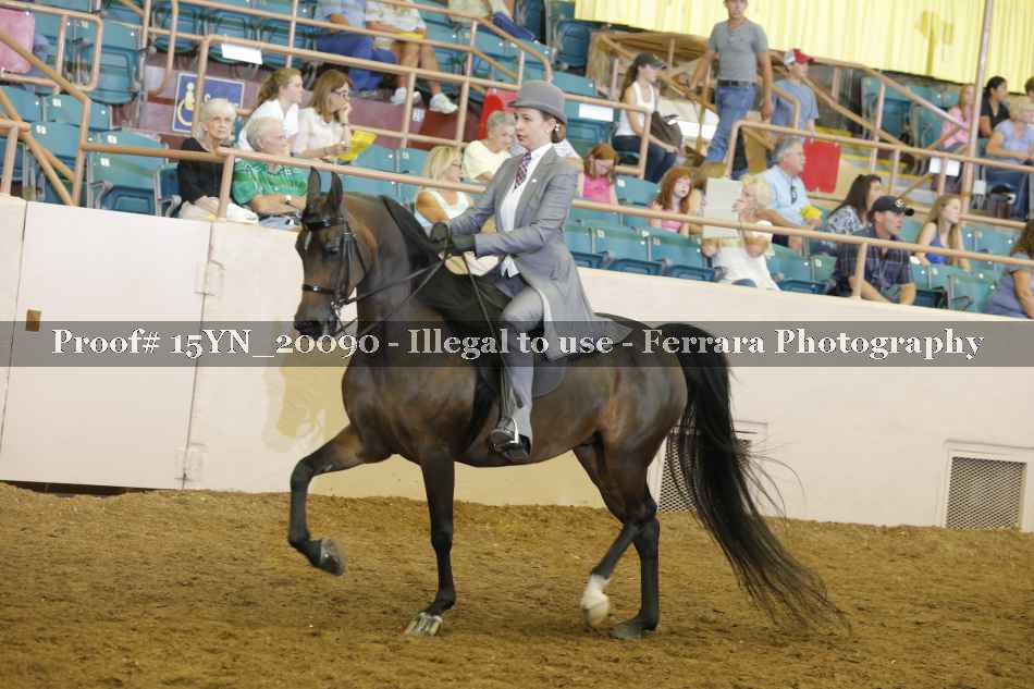 Proof Number 15YN_20090