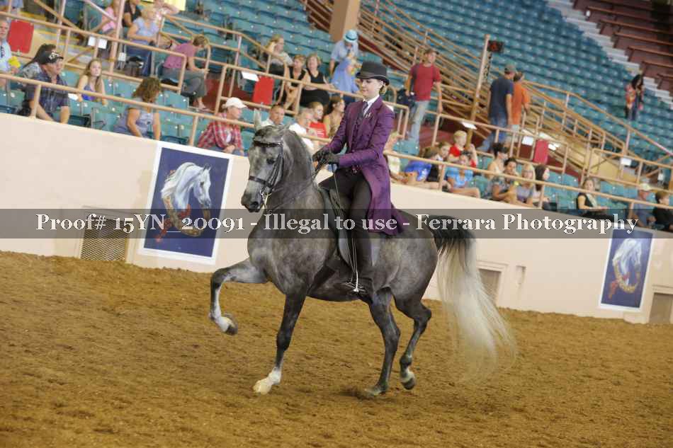 Proof Number 15YN_20091