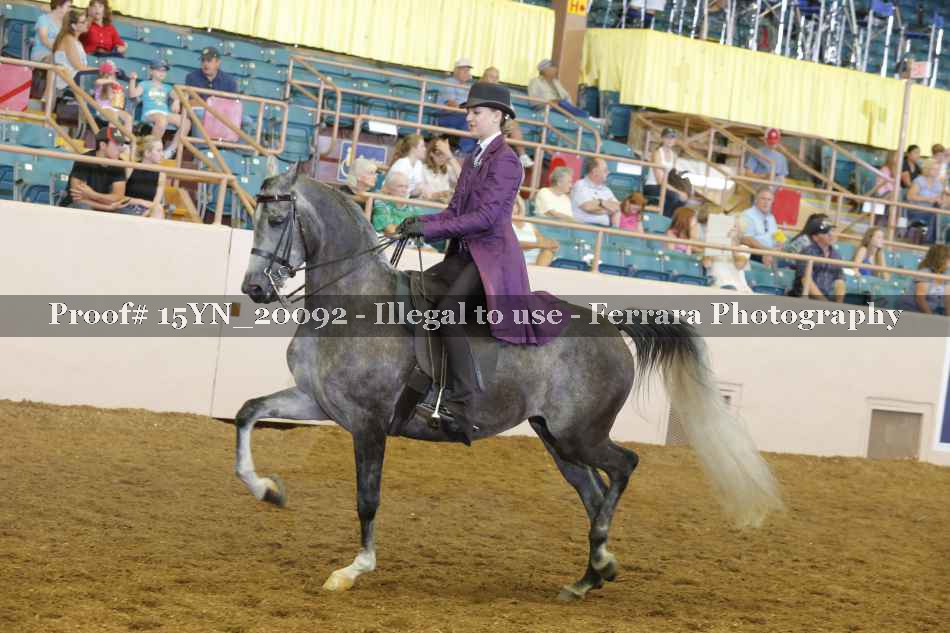 Proof Number 15YN_20092