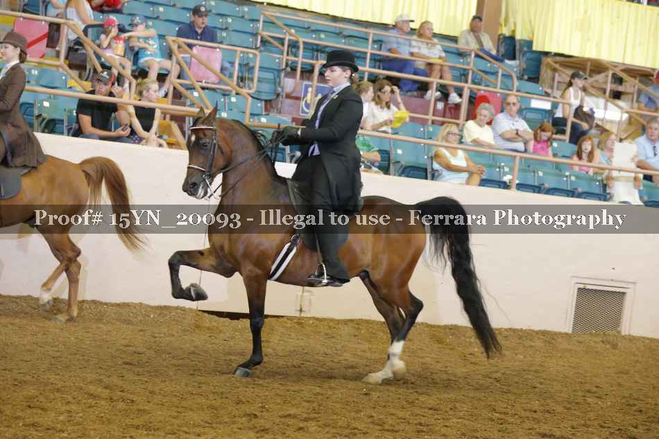 Proof Number 15YN_20093