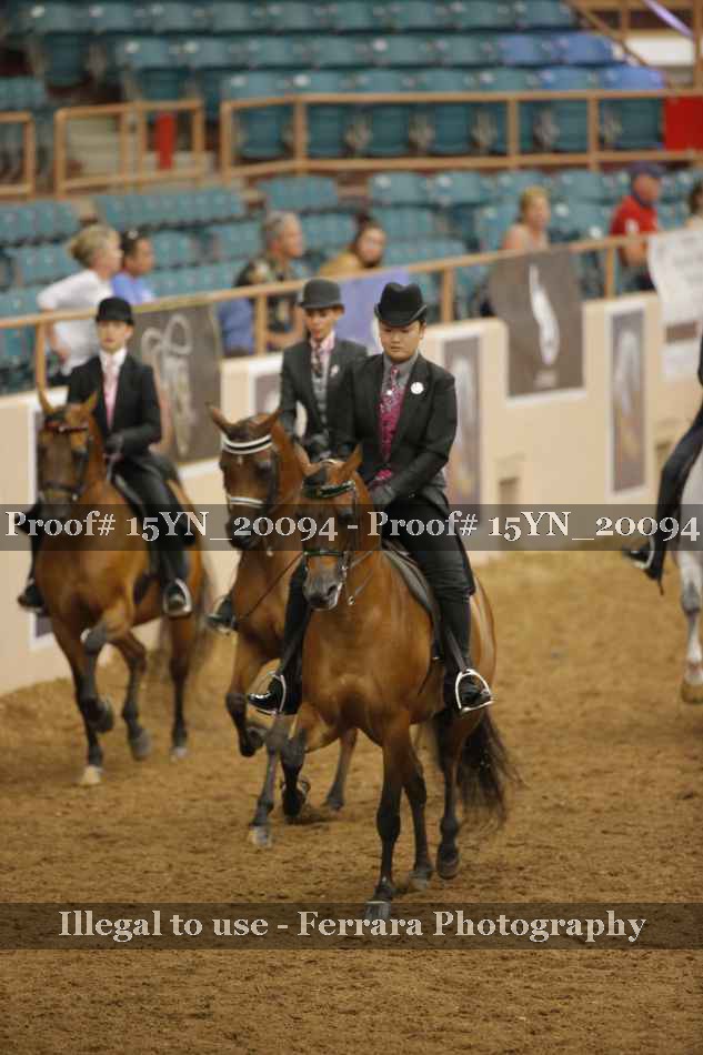 Proof Number 15YN_20094