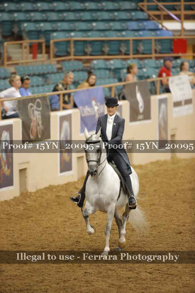 Proof Number 15YN_20095