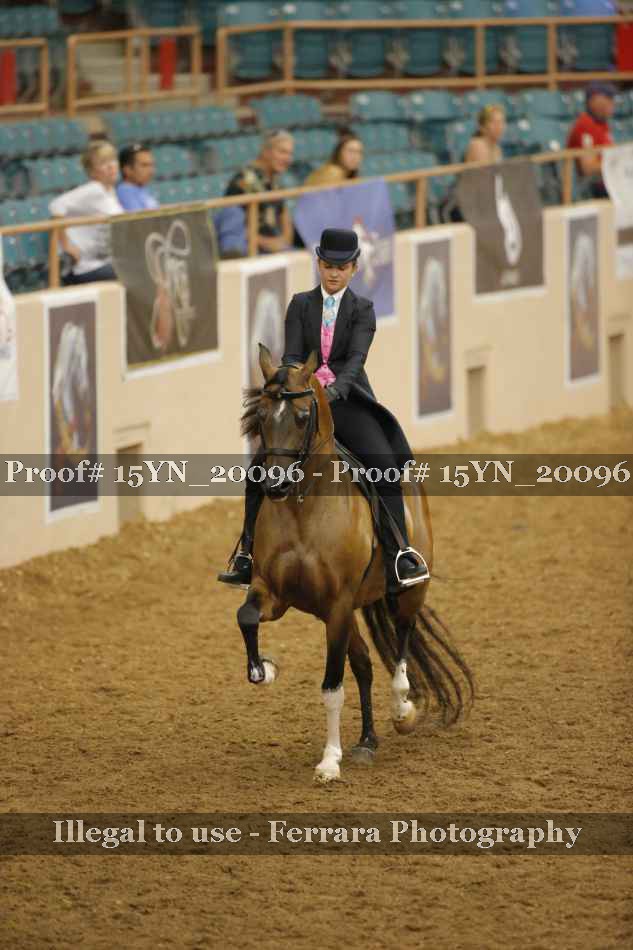 Proof Number 15YN_20096