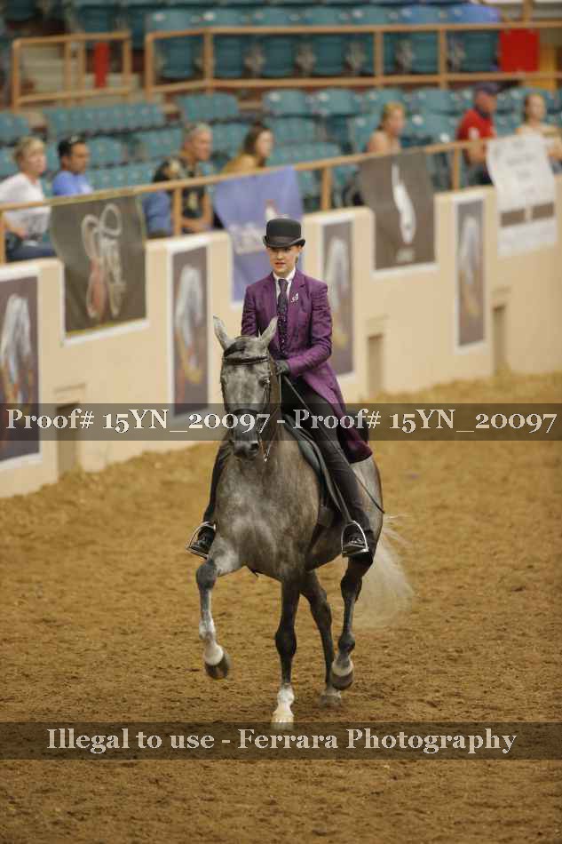 Proof Number 15YN_20097