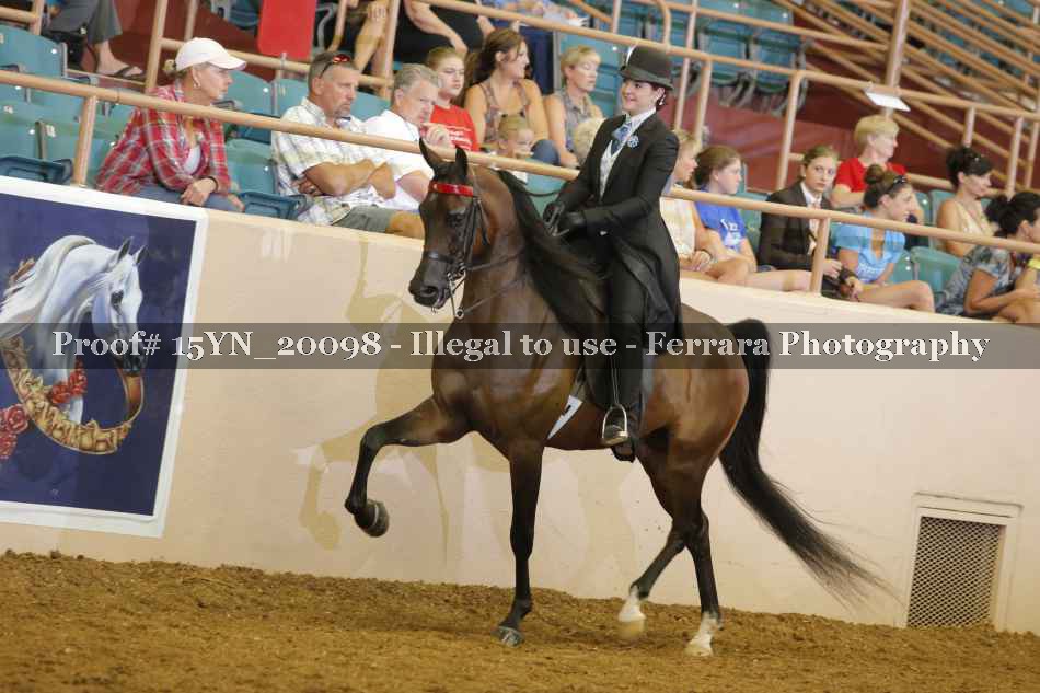 Proof Number 15YN_20098