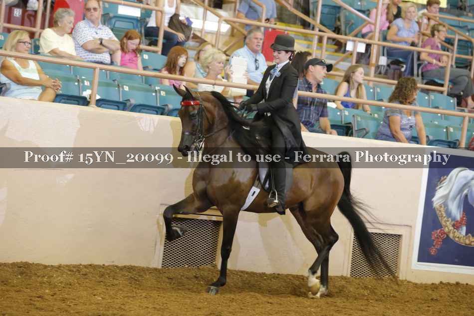Proof Number 15YN_20099
