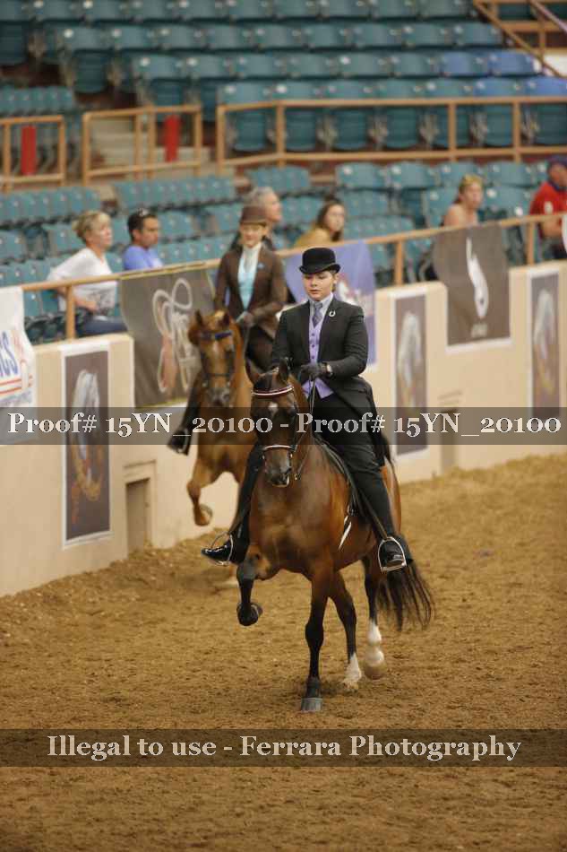 Proof Number 15YN_20100