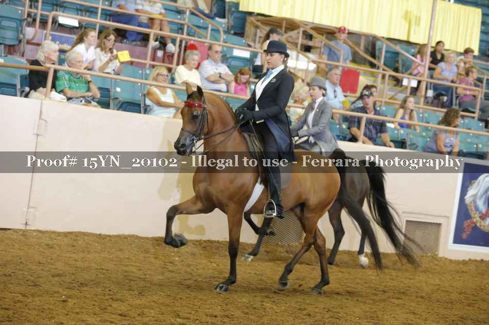 Proof Number 15YN_20102