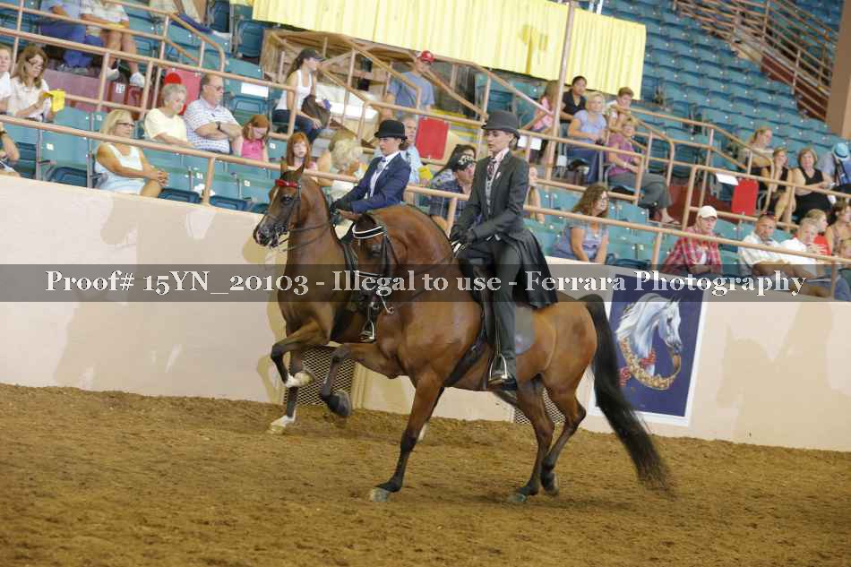 Proof Number 15YN_20103