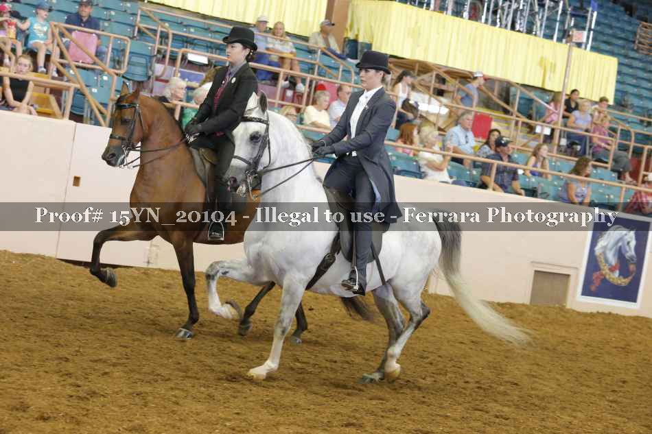Proof Number 15YN_20104