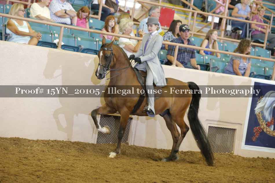 Proof Number 15YN_20105