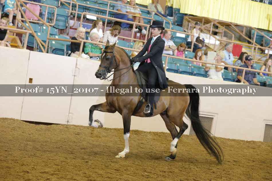 Proof Number 15YN_20107