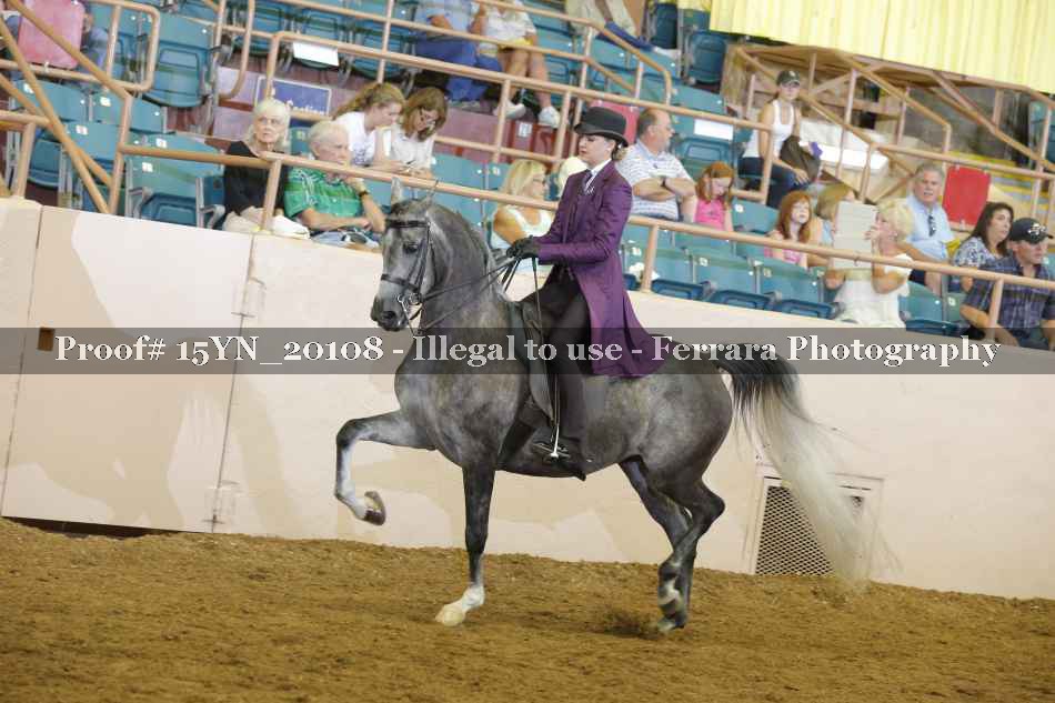 Proof Number 15YN_20108