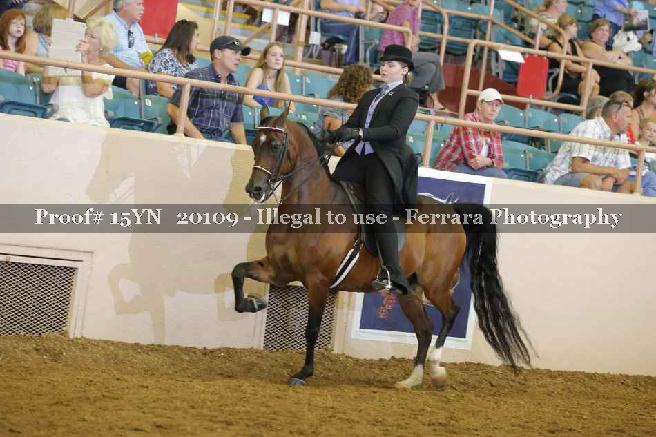 Proof Number 15YN_20109