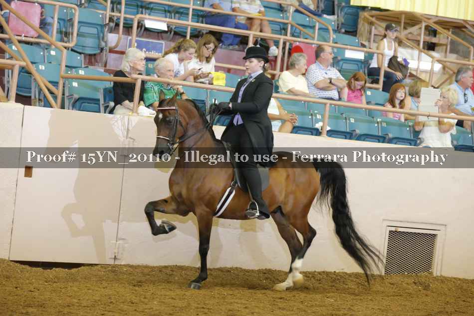 Proof Number 15YN_20110