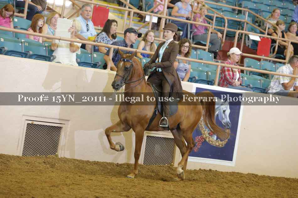 Proof Number 15YN_20111