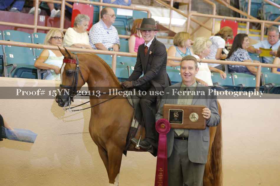 Proof Number 15YN_20113